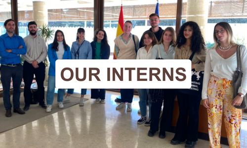Internships - Amman Center for Human Rights Studies