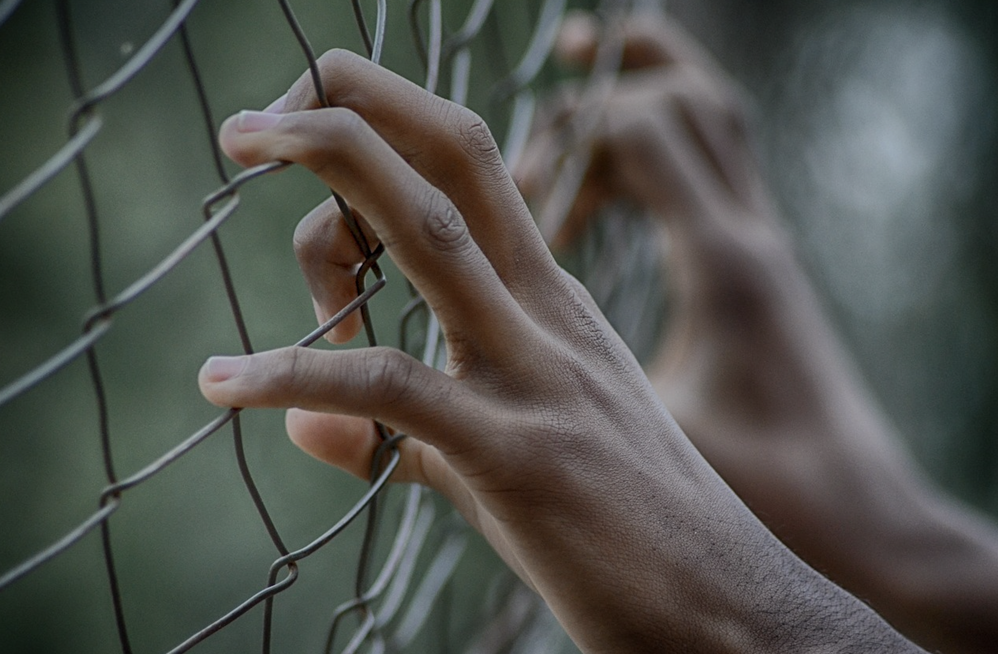 Egypt continues its surveillance and crackdown on activists. (symbol photo: fifaliana-joy/pixabay)